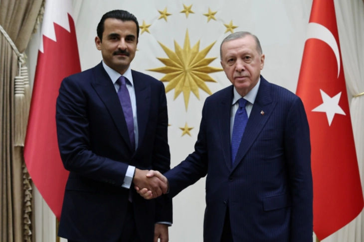 Cumhurbaşkanı Erdoğan ile Katar Emiri Al Sani ile g&ouml;r&uuml;şt&uuml;