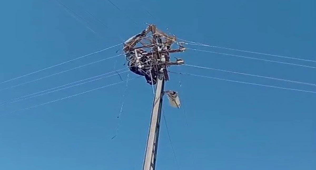 Aras Elektrik&rsquo;ten doğa dostu adım