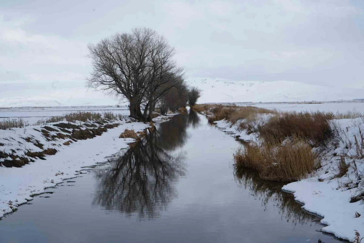 Erzurum&rsquo;da kar yağışı etkili oluyor