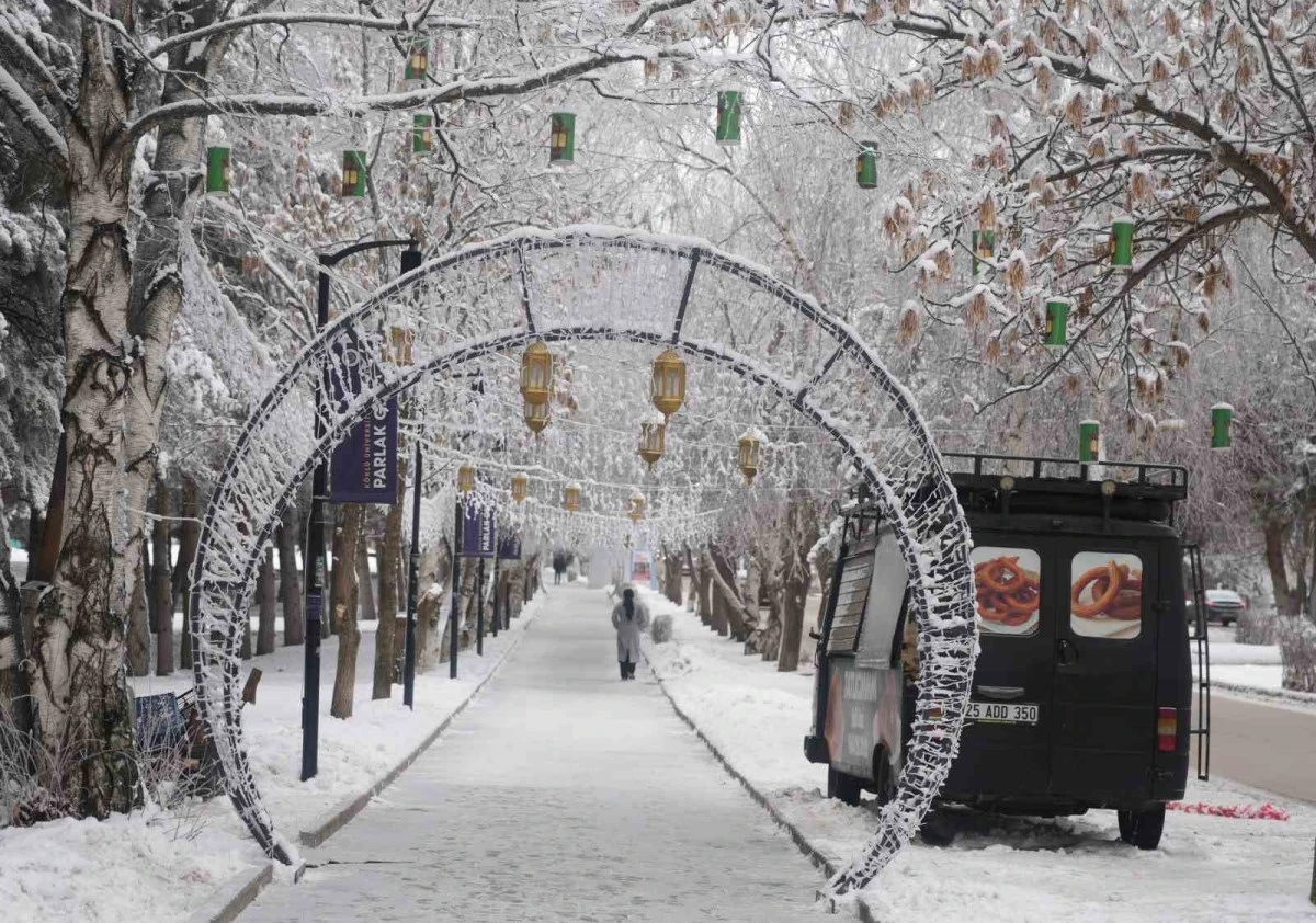 Erzurum&rsquo;da soğuk havanın etkisiyle ağa&ccedil;lar kırağı tuttu