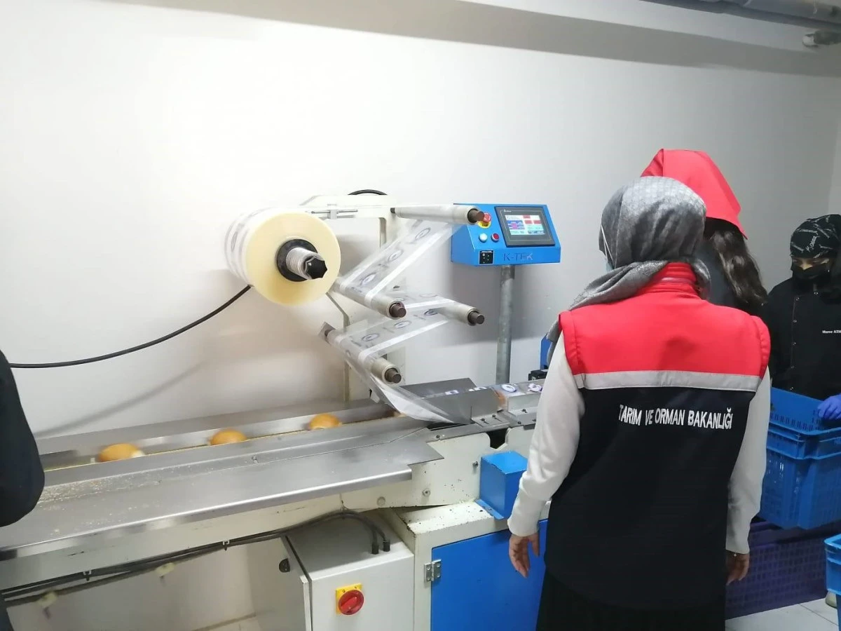 Gıda satışı yapan işyerleri denetlendi