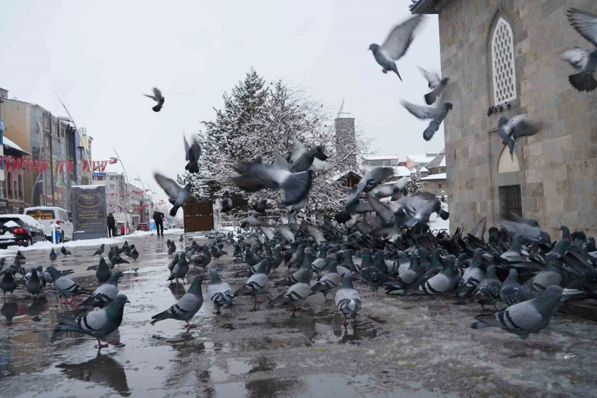 Meteorolojiden &ccedil;ığ, don ve buzlanma uyarısı