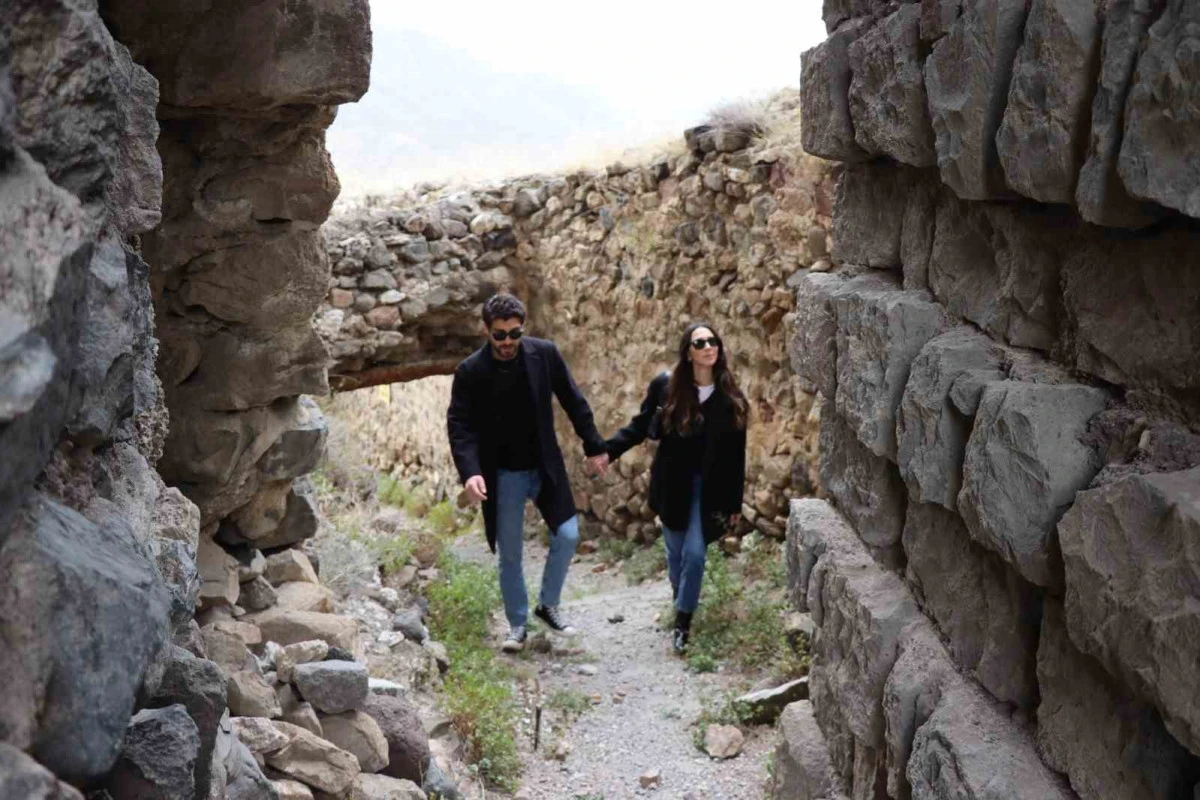 Otoyolda yabani tavşan görüntülendi