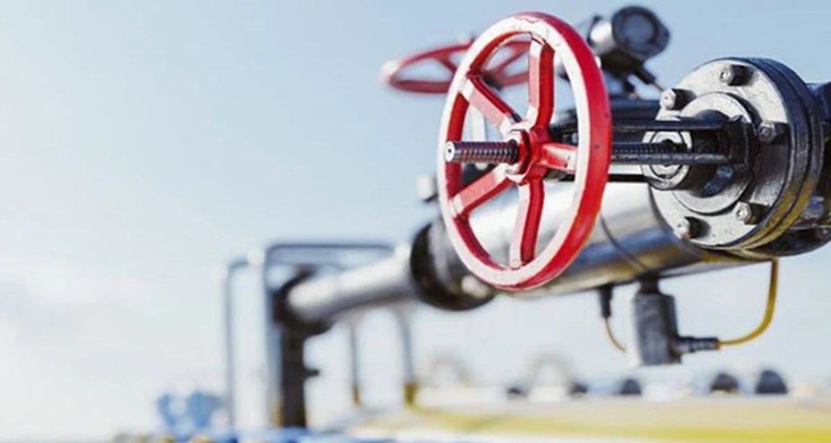 PALEN, kış ortasında dondurdu