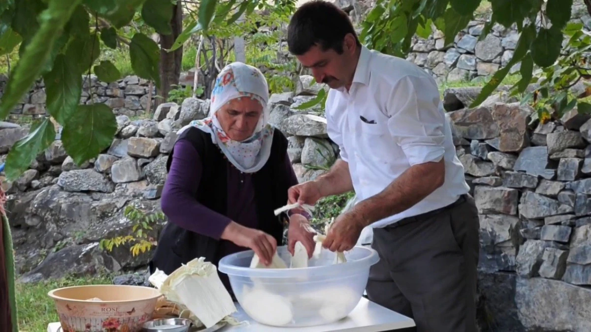 Yayladan sofraya doğal antibiyotik: Erzurum’un göğermiş peyniri